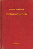 L'enfant mystérieux (eBook, ePUB)