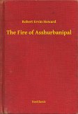 The Fire of Asshurbanipal (eBook, ePUB)