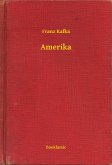 Amerika (eBook, ePUB)