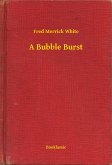 A Bubble Burst (eBook, ePUB)