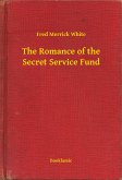 The Romance of the Secret Service Fund (eBook, ePUB)