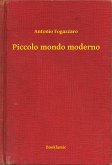 Piccolo mondo moderno (eBook, ePUB)