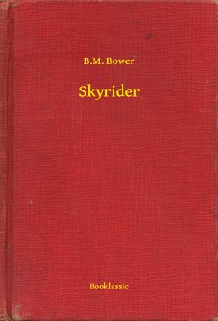 Skyrider (eBook, ePUB) - Bower, B.M.