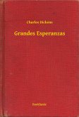 Grandes Esperanzas (eBook, ePUB)