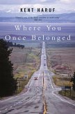 Where You Once Belonged (eBook, ePUB)