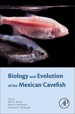 Biology and Evolution of the Mexican Cavefish (eBook, ePUB) - Keene, Alex; Yoshizawa, Masato; McGaugh, Suzanne Elaine