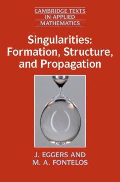 Singularities: Formation, Structure, and Propagation (eBook, PDF) - Eggers, J.