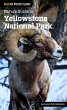 Nature Guide to Yellowstone National... - Bild 1