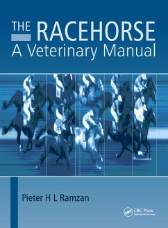 The Racehorse (eBook, PDF) - Ramzan, Pieter