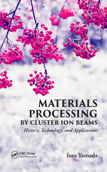 Materials Processing by Cluster Ion Beams (eBook, PDF) Materials Processing by Cluster Ion Beams (eBook, PDF)