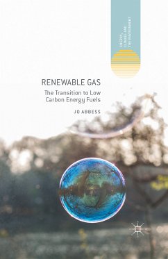 Renewable Gas (eBook, PDF)