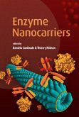 Enzyme Nanocarriers (eBook, PDF)