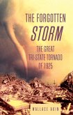 The Forgotten Storm (eBook, ePUB)