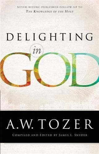 Delighting in God (eBook, ePUB)