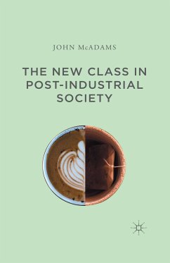 The New Class in Post-Industrial Society (eBook, PDF) - McAdams, John