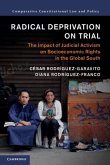 Radical Deprivation on Trial (eBook, PDF)