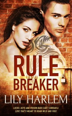 Cover Rule Breaker (eBook, ePUB)