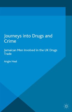 Journeys into Drugs and Crime (eBook, PDF)