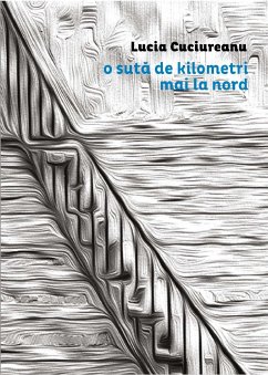 O sută de kilometri mai la nord (eBook, ePUB) - Cuciureanu, Lucia