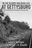 In the Bloody Railroad Cut at Gettysburg (eBook, ePUB)