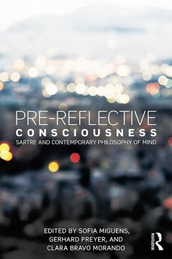 Pre-reflective Consciousness (eBook, ePUB)