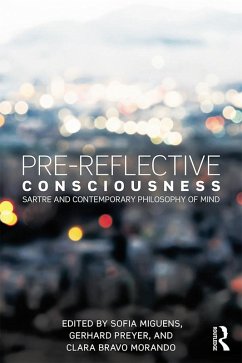 Pre-reflective Consciousness (eBook, PDF)