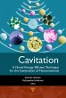 Cavitation (eBook, PDF) - Bild 1