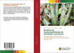 Análise da Sustentabilidade da atividade canavieira - Amorim, Bartira P.;Cândido, Gesinaldo A.
