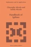 Handbook of Splines (eBook, PDF)