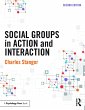 Social Groups in Action and Interaction... - Bild 1