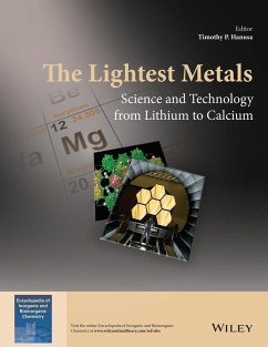 The Lightest Metals (eBook, PDF) - Hanusa, Timothy P.