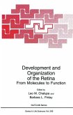 Development and Organization of the Retina (eBook, PDF)