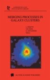 Merging Processes in Galaxy Clusters (eBook, PDF)