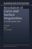 Resolution of Curve and Surface Singularities in Characteristic Zero (eBook, PDF)