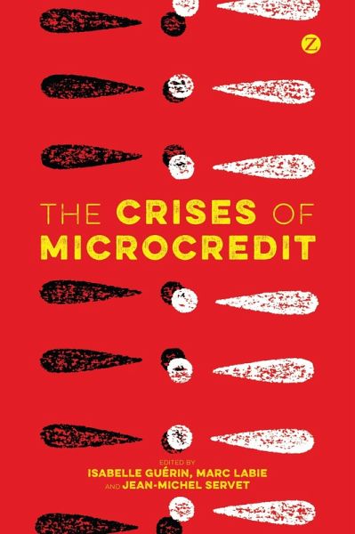 The Crises of Microcredit (eBook, ePUB)