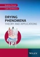 Cover Drying Phenomena (eBook, PDF)