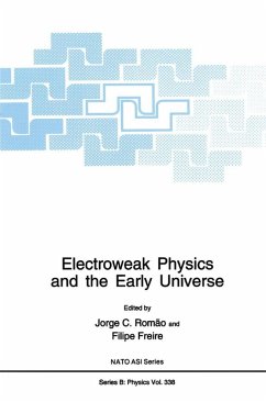 Electroweak Physics and the Early Universe (eBook, PDF)