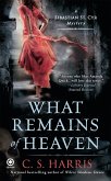 What Remains of Heaven (eBook, ePUB)