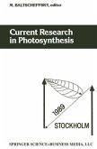 Current Research in Photosynthesis (eBook, PDF)