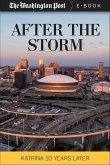 After the Storm (eBook, ePUB)
