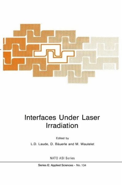 Interfaces Under Laser Irradiation (eBook, PDF) Interfaces Under Laser Irradiation (eBook, PDF)