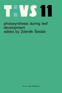 Photosynthesis during leaf development (eBook, PDF)