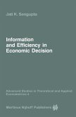 Information and Efficiency in Economic Decision (eBook, PDF)