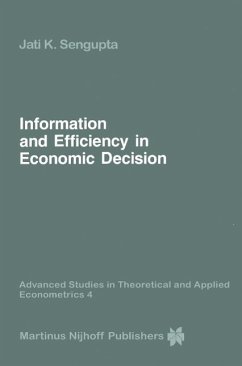 Information and Efficiency in Economic Decision (eBook, PDF) - Sengupta, Jati