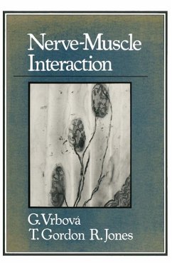 Nerve-Muscle Interaction (eBook, PDF) - Vrbova, Gerta
