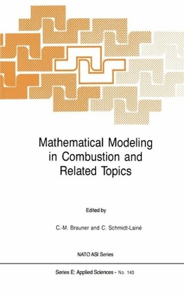 Mathematical Modeling in Combustion and Related Topics (eBook, PDF) Mathematical Modeling in Combustion and Related Topics (eBook, PDF)