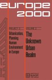 The Unknown Urban Realm (eBook, PDF)