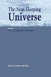 The Non-Sleeping Universe (eBook, PDF) - Bild 1