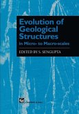 Evolution of Geological Structures in Micro- to Macro-scales (eBook, PDF)