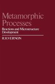 Metamorphic Processes (eBook, PDF)